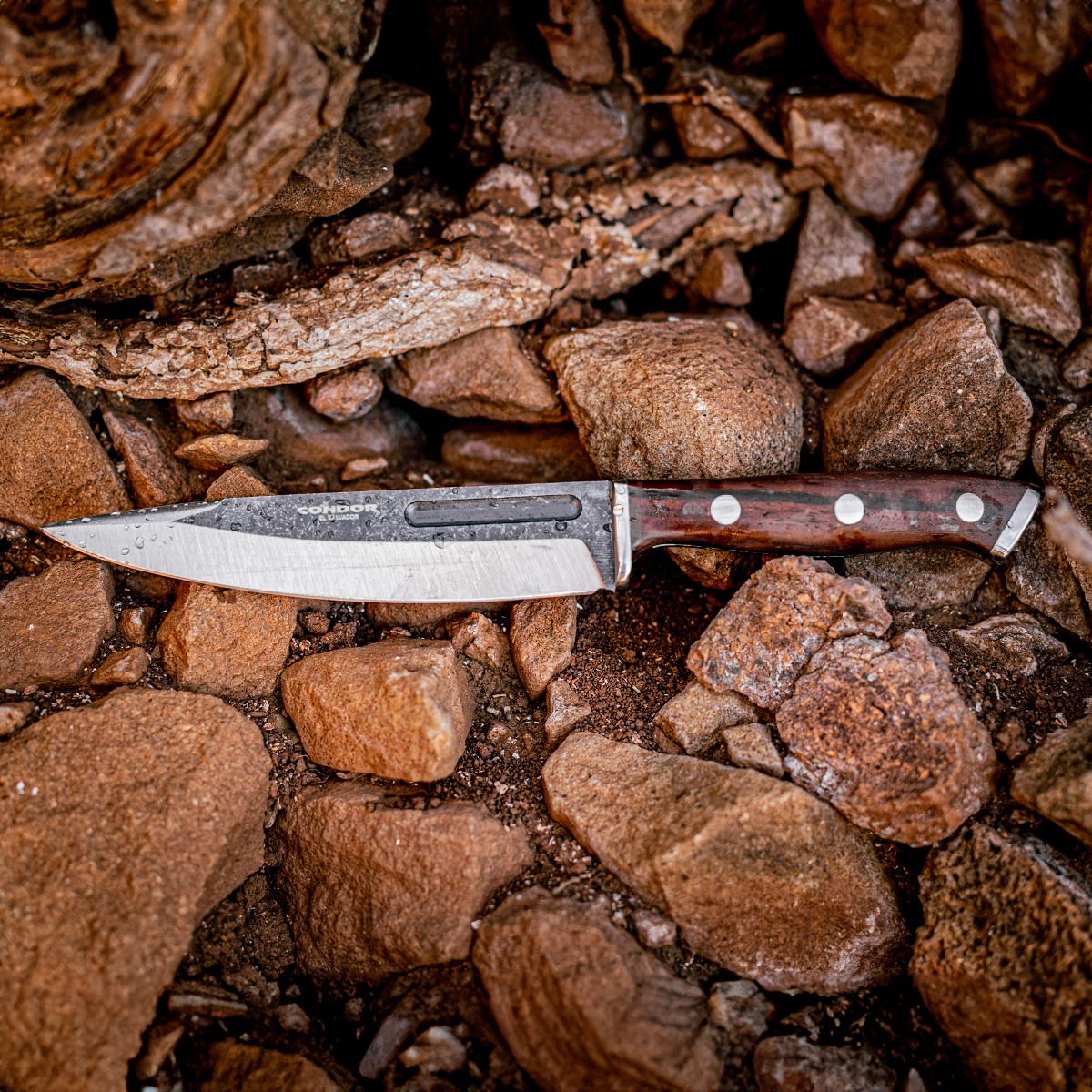 Patagon Knife