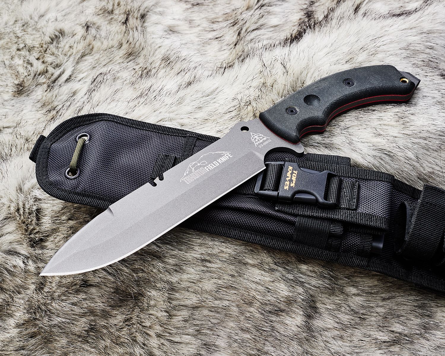 Tahoma Feldmesser, Schwarzes Canvas