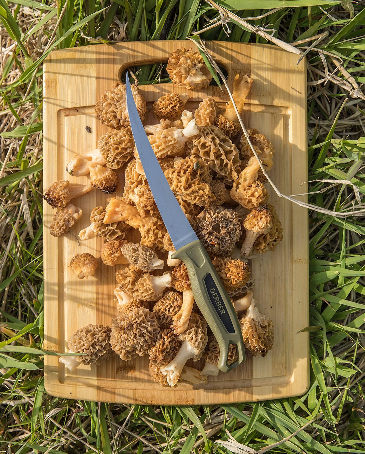 Ceviche Fillet Knife, 18 cm