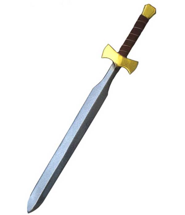 Ready for Battle Sword Fighter