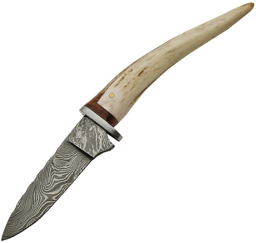 Stag Spike with Sheath