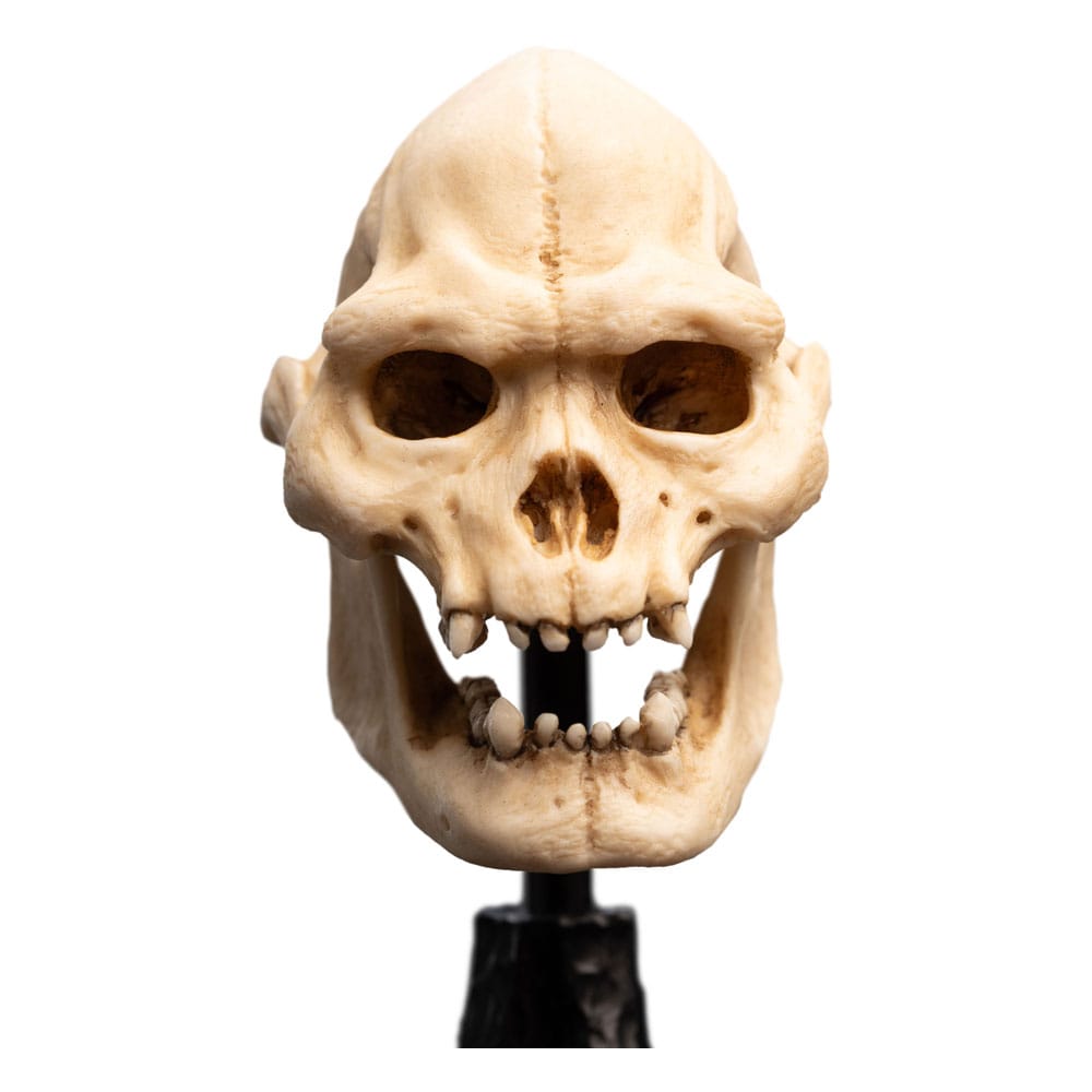 Herr der Ringe Mini Statue Skull of Lurtz 14 cm